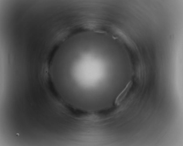 X0000092330696200709211307