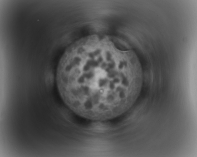 X0000092330703200709211307