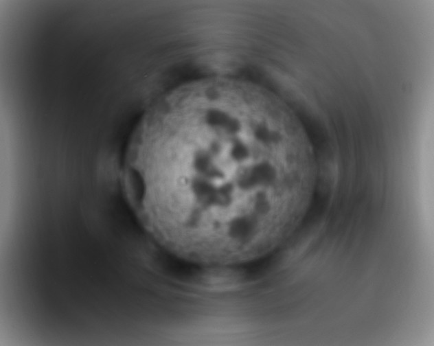 X0000092330707200709211307