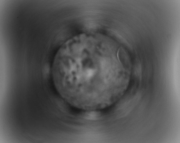 X0000092330711200709211307