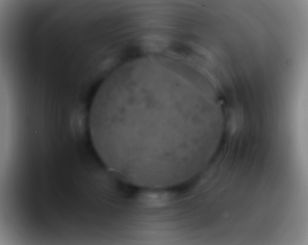 X0000092330712200709211307