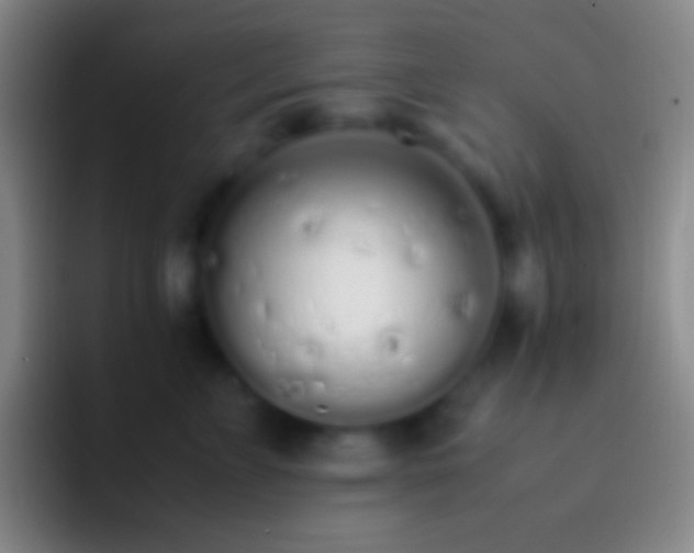 X0000092330715200709211307