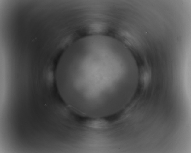 X0000092330716200709211307