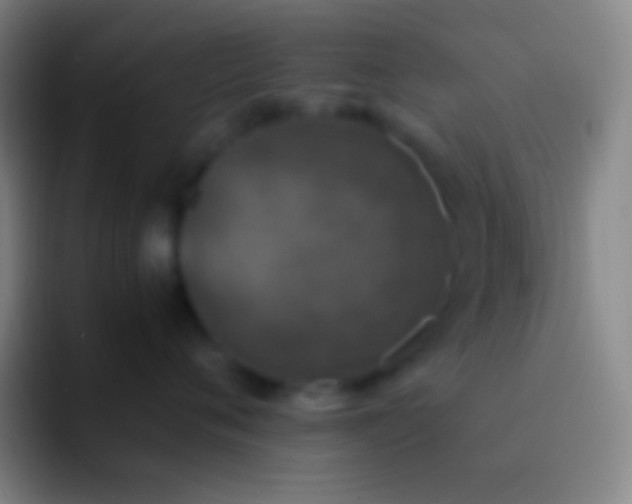 X0000092330720200709211307