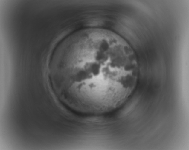 X0000092330721200709211306
