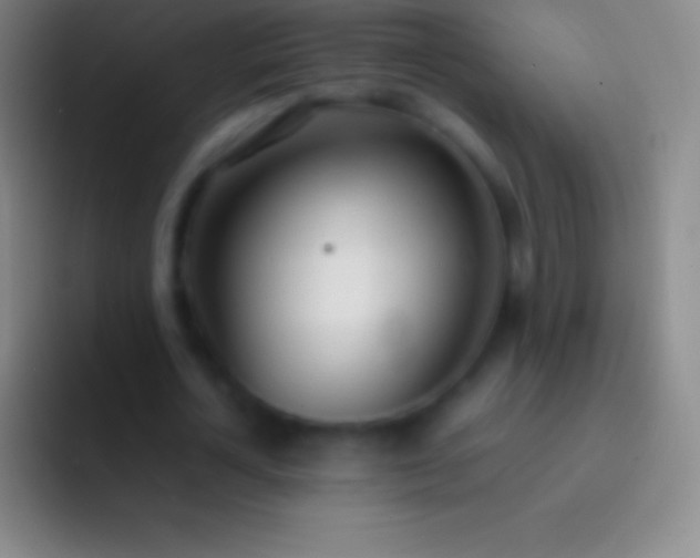 X0000092330724200709211307