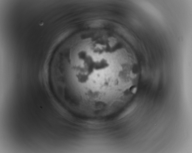 X0000092330725200709211307