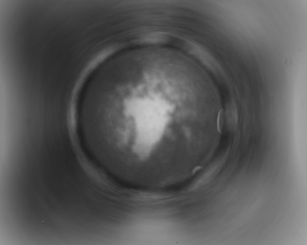 X0000092330726200709211307