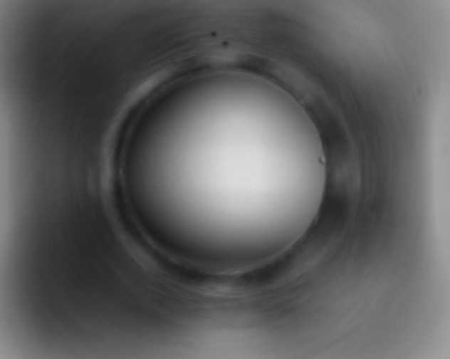 X0000092330728200709211307