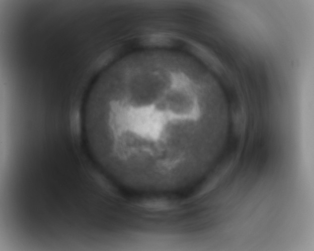 X0000092330729200709211307
