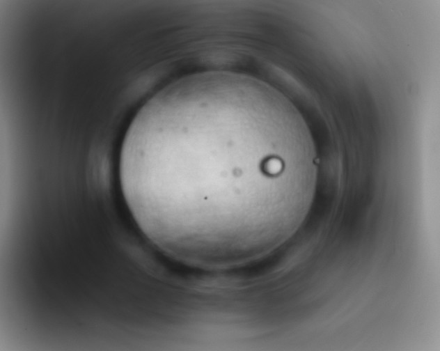 X0000092330734200709211307