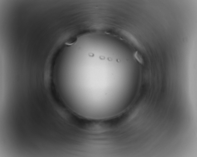 X0000092330736200709211307