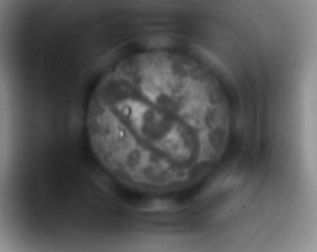 X0000092330737200709211307