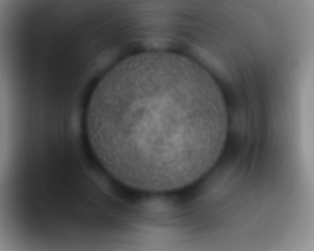X0000092330738200709211307