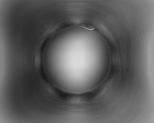 X0000092330740200709211307