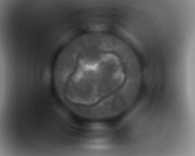 X0000092330741200709211307