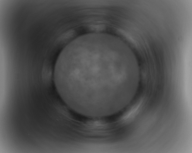 X0000092330745200709211307