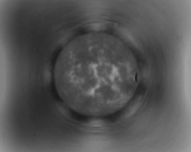 X0000092330746200709211307