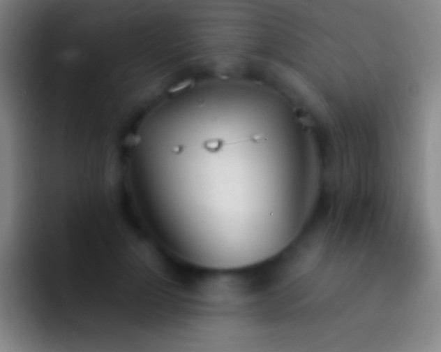X0000092330748200709211307