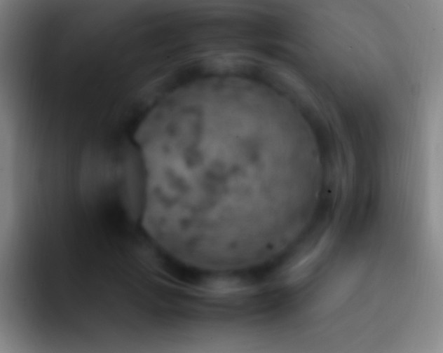 X0000092330749200709211307