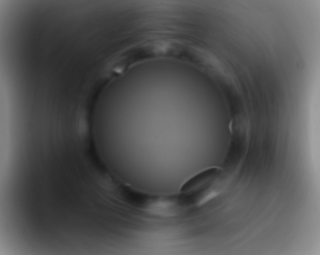 X0000092330754200709211307