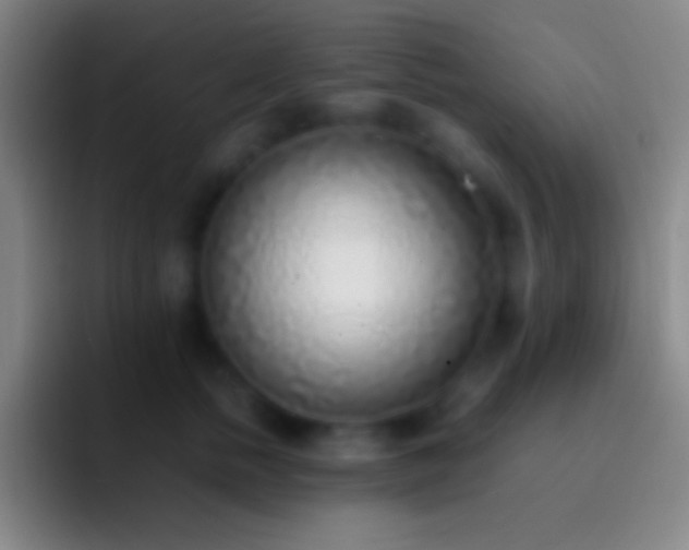 X0000092330758200709211307