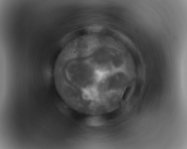 X0000092330761200709211307