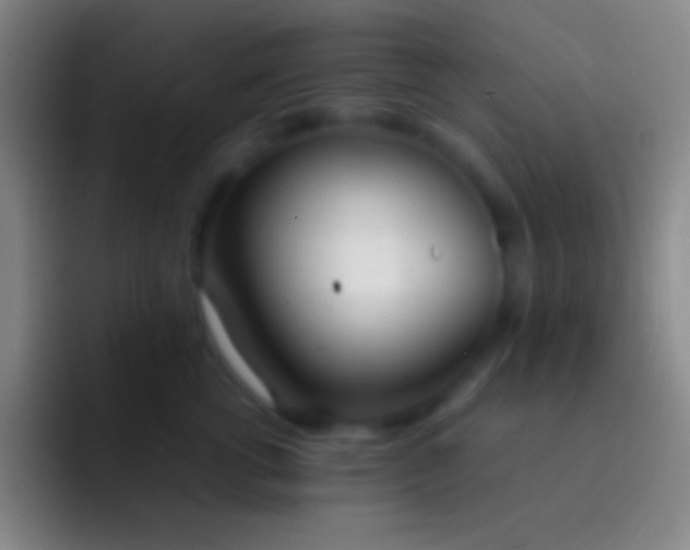 X0000092330762200709211307