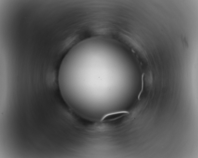X0000092330764200709211307