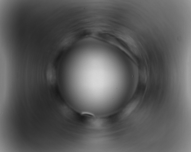 X0000092330766200709211307