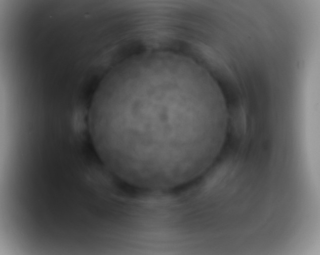 X0000092330770200709211306