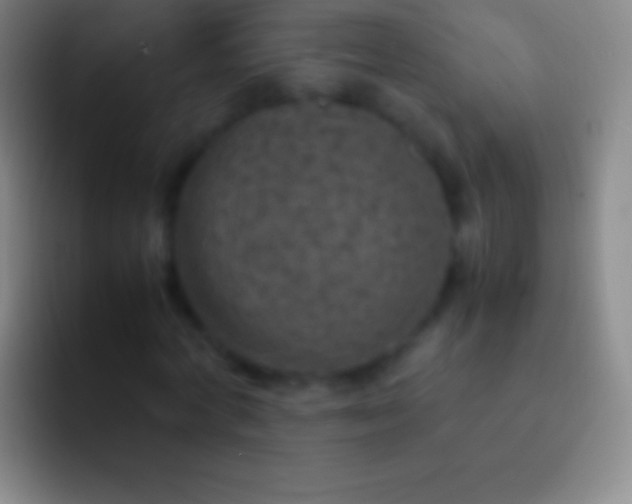 X0000092330772200709211306