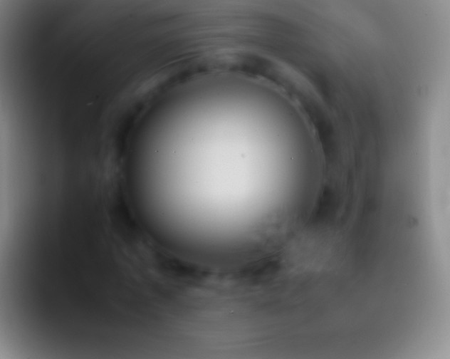 X0000092330773200709211306