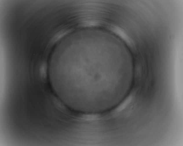 X0000092330778200709211306