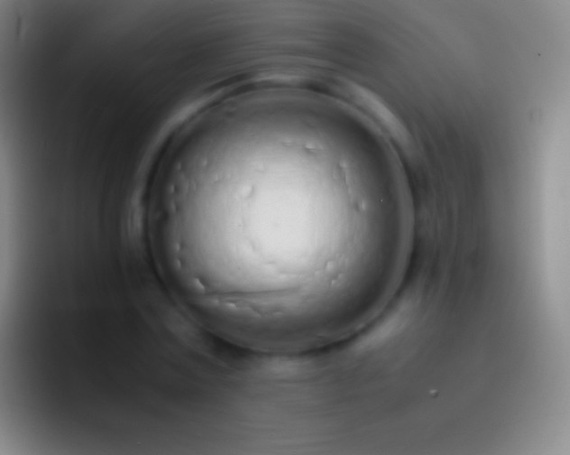 X0000092330779200709211306