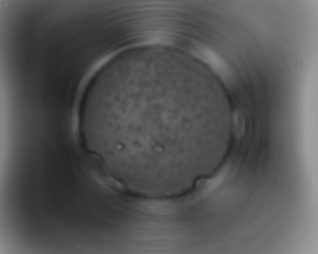 X0000092330780200709211306