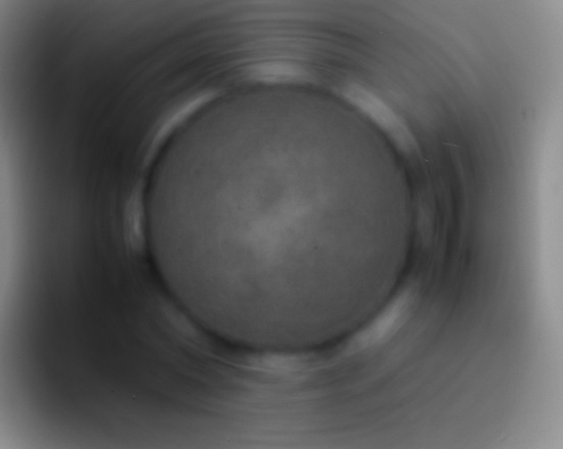 X0000092330782200709211306