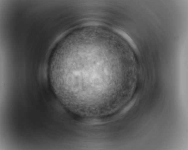 X0000092330783200709211306