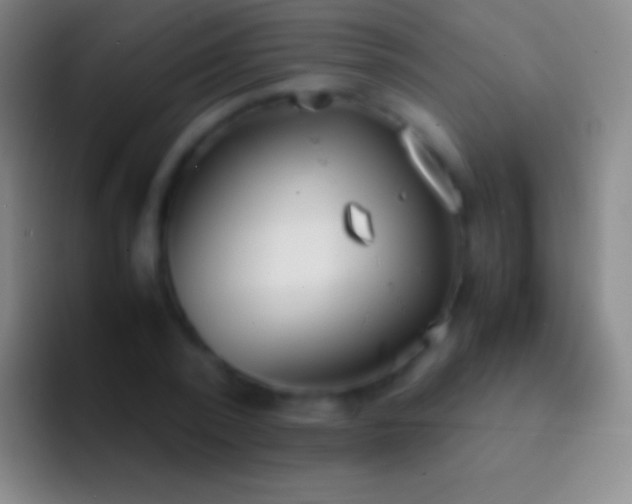 X0000092330784200709211306