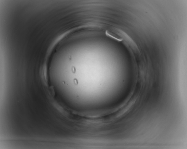 X0000092330788200709211306