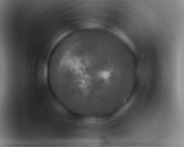 X0000092330790200709211306