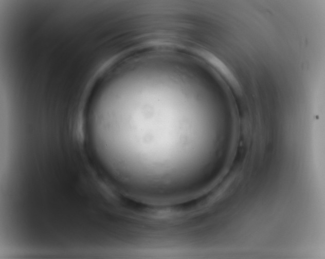 X0000092330791200709211306