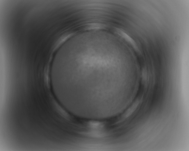 X0000092330794200709211306
