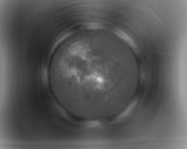 X0000092330798200709211306