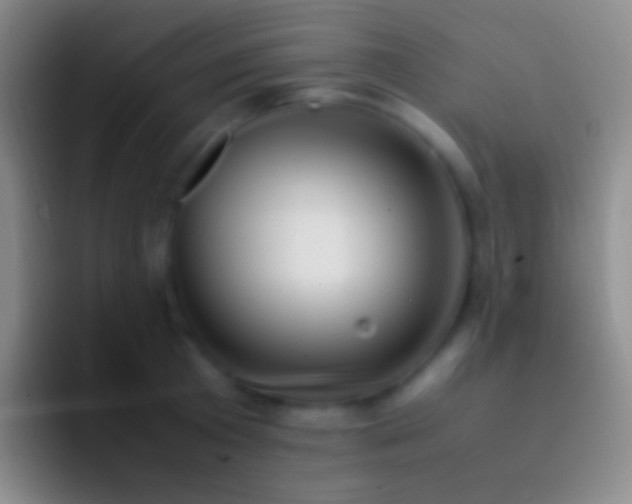 X0000092330801200709211306