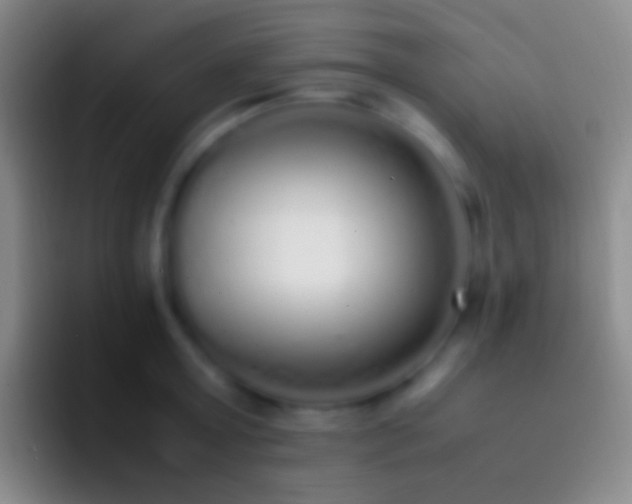 X0000092330803200709211306