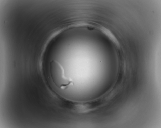 X0000092330805200709211306