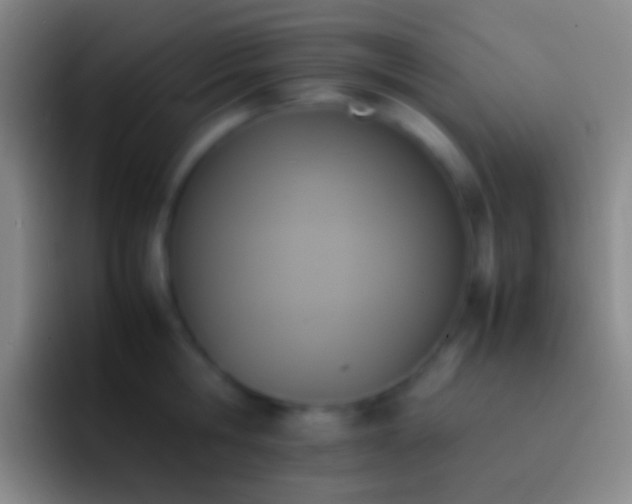 X0000092330806200709211306