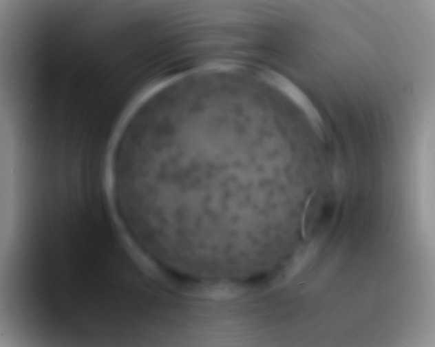 X0000092330811200709211306