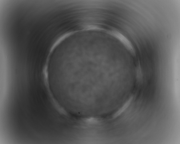 X0000092330814200709211306